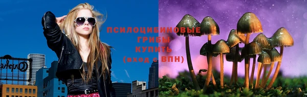 спиды Алексин